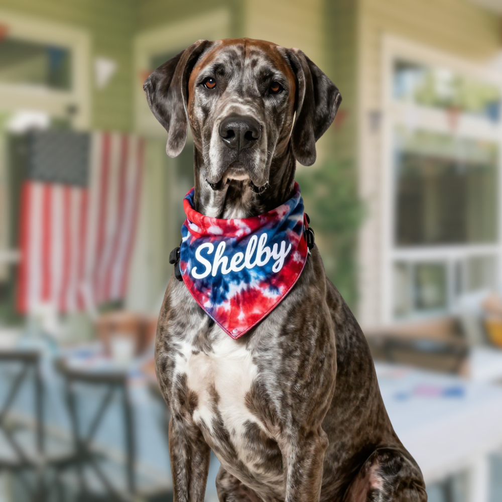 Personalized Red, White & Blue Tie-Dye Dog Bandana