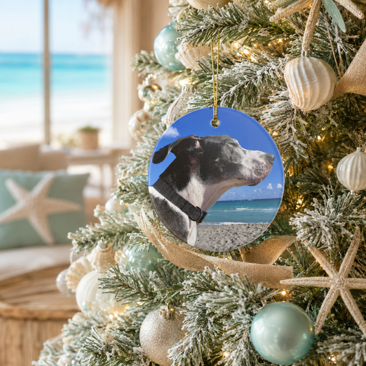 Personalized Dog Memorial Photo Ornament