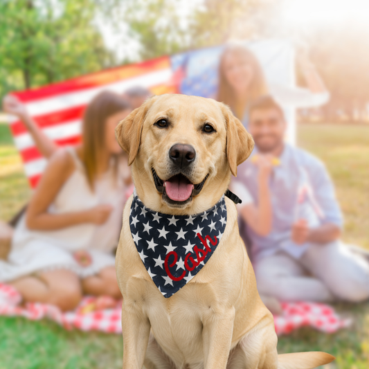 Personalized 4th of July Dog Bandana